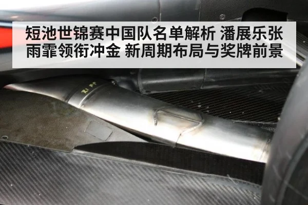 短池世锦赛中国队名单解析 潘展乐张雨霏领衔冲金 新周期布局与奖牌前景